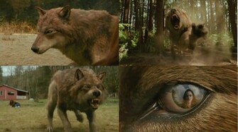 Twilight Jacob Black Wallpaper By Kilama