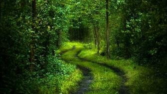 Intriguing Lime Green Forest With Strange Serpentine