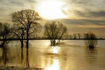 Royalty Submerged Image