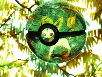 Pokemon Rainbow Awesome Amazing Colorful Photoshop Pokeball Eevee