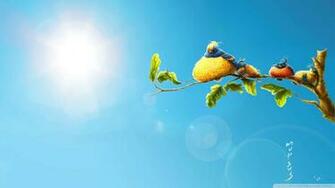 Funny Birds Wallpaper Wide Screen 1080p 2k 4k