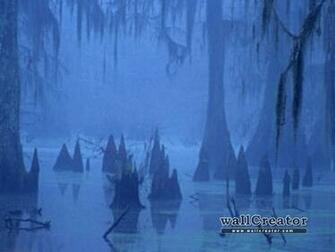 Louisiana Swamp Wallpaper