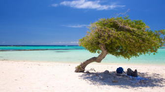 Fun Things To Do In Aruba December Expedia