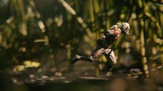 Ant Man Desktop Wallpaper