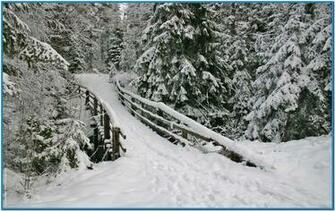 Winter Screensavers And Wallpaper