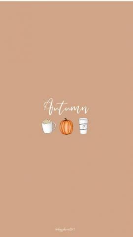 Amazing Fall iPhone Wallpaper The Chic Pursuit In