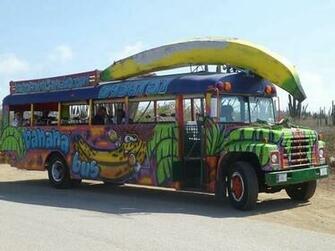 This Bus Screams Fun Picture Of Banana Palm Eagle Beach
