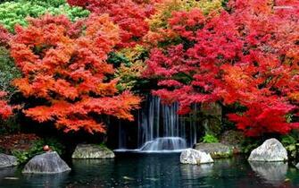 Red Trees Waterfall Rocks Lake Wallpaper