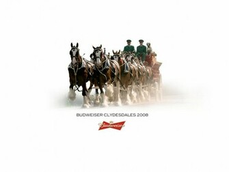 Budweiser Jpg
