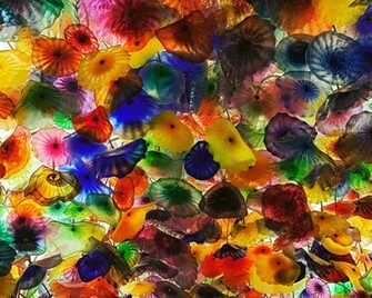 Orgy Of Colors Wallpaper