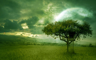 Laptop Wallpaper