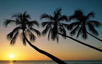 The Best Beach Background Wallpaper Of