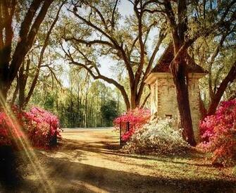 Spring National Geographic Photo Contest