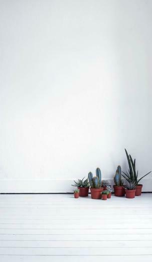 minimalist aesthetic wallpapers