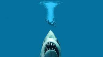 Sharks Jaws HD