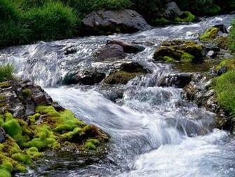 Summer Stream Wallpaper