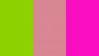 Blush Shocking Pink And Crayola Three Color Background