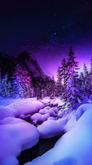 Heavy Snow Fall In Forest iPhone Wallpaper HD