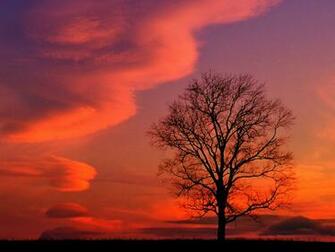 Crimson Twilight Kentucky Nature Wallpaper Image Featuring Sunrises