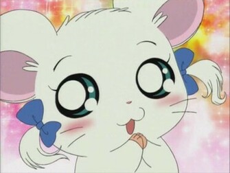 Hamtaro Bijou And Boss HD Wallpaper