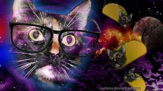 Hipster Cat Wallpaper Taco By Surlana