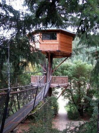 Amazing Tree House Wallpaper