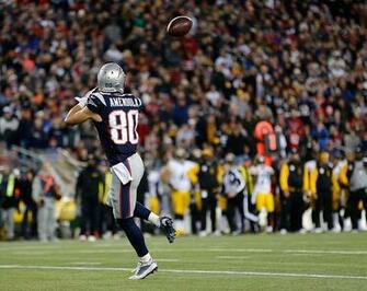 Danny Amendola Pictures Pittsburgh Steelers V New