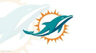 Miami Dolphin Wallpaper