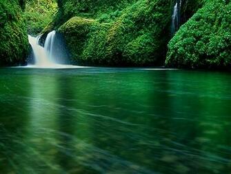 Trees HD Wallpaper Tags Water Nature Description