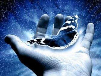 Butterfly Wallpaper Desktop
