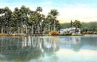River Florida Site Map Tropical Scenery St Johns