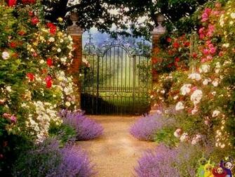 Beyond The Garden Gate A Celebration Of Books Gardens And Gardening