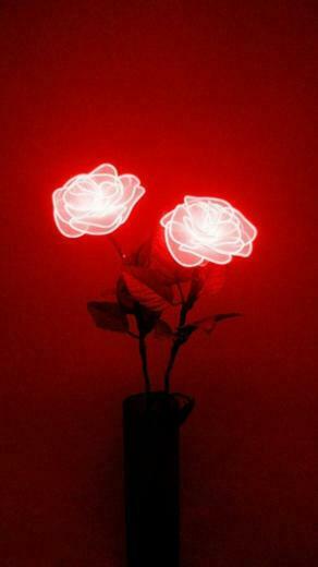 Alovera On Backup Backdrops Red Aesthetic Pink