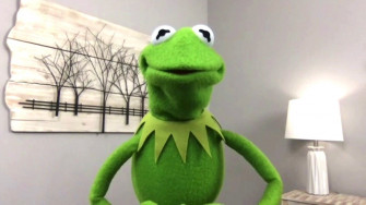 Kermit The Frog Wallpaper