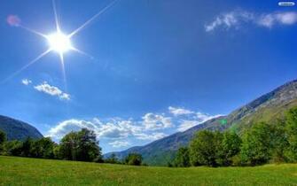Sunlit Meadow Wallpaper