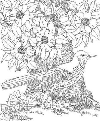 Coloring S For Adults Share Wallpaper