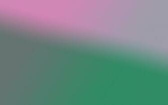 Pinky Wallpaper