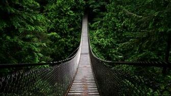 Bridge Into The Woods Wallpaper