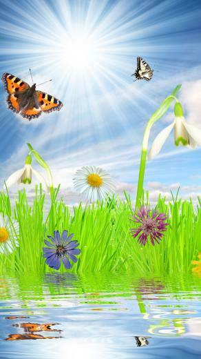 Beautiful Spring Mood iPhone Plus Wallpaper
