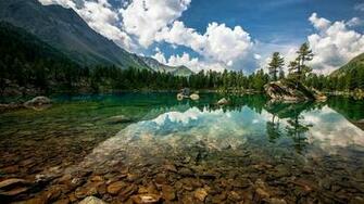 Fly Fishing Wallpaper