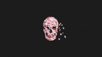 Minimalist Flower Computer Wallpaper