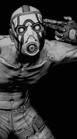 Video Game Borderlands