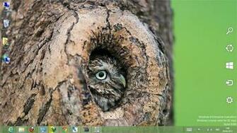 Pc Windows Background Theme