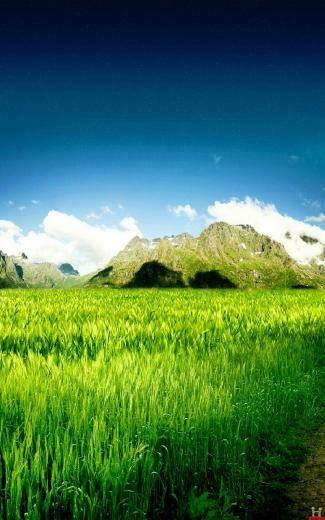Samsung Galaxy Note HD Wallpaper For Here
