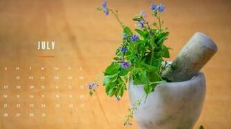 HD July Calendar Wallpaper