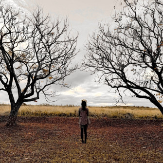 Fall Wallpaper On