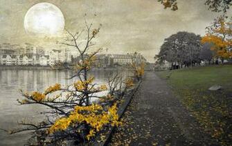 Songhees Victoria Canada British Columbia Wallpaper
