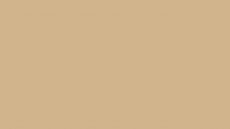 Tan Solid Color Wallpaper