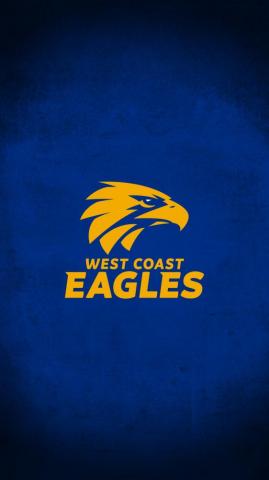 Eagles Wallpaper Pixel Wallpaperpass