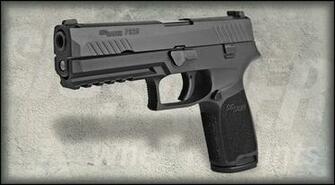 P320 Full Size Nitron